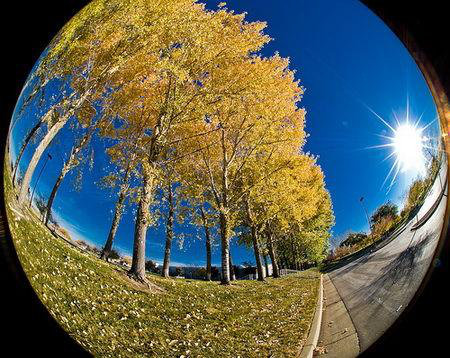 大視場(chǎng)均勻光源(圖3) 大視場(chǎng)均勻光源(圖3)